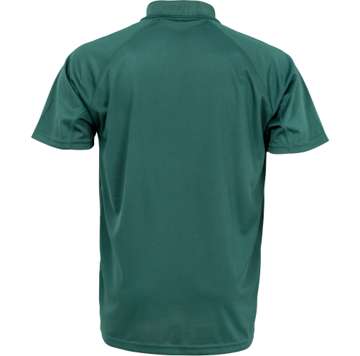 Polo de rendimiento 