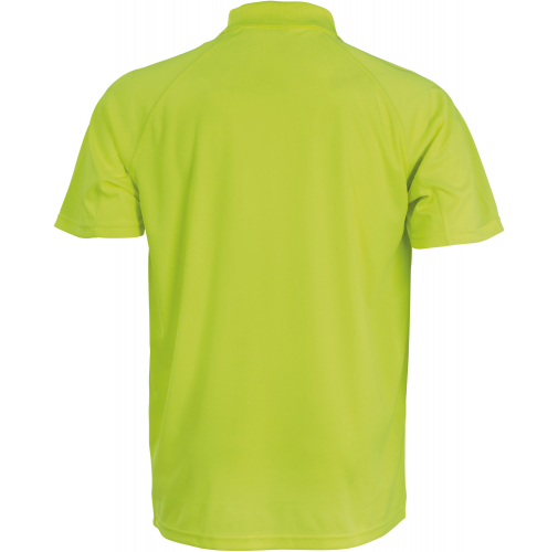 Polo de rendimiento 
