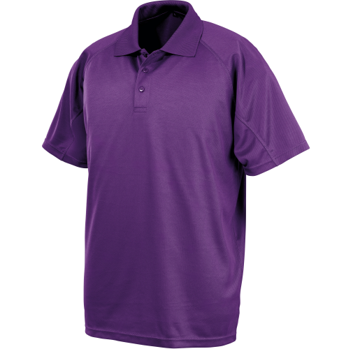Polo de rendimiento 