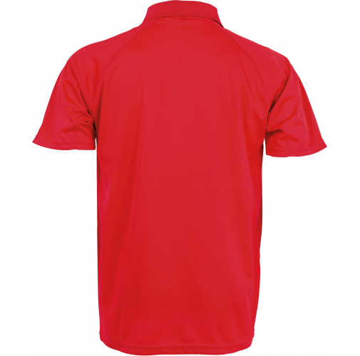 Polo de rendimiento 
