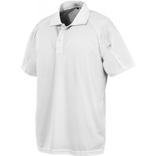 Polo de rendimiento 