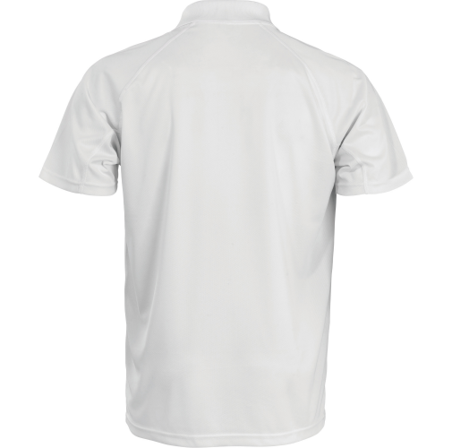 Polo de rendimiento 