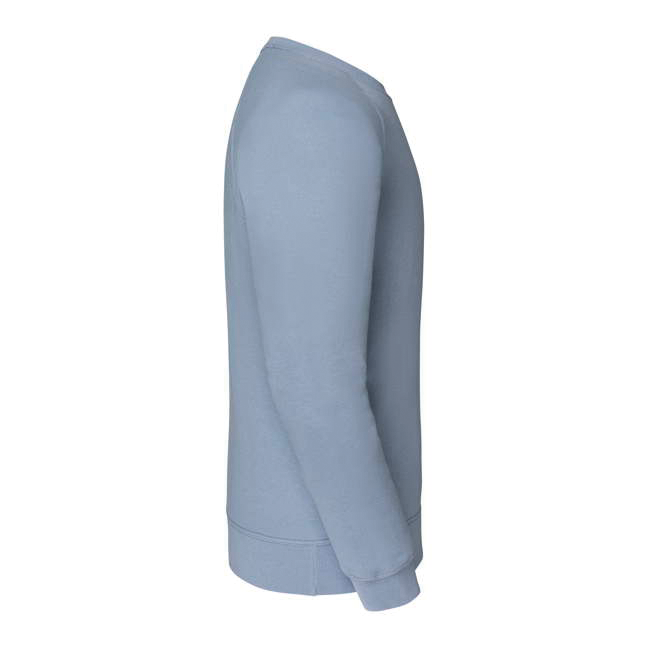 Sudadera manga raglán (62-216-0)