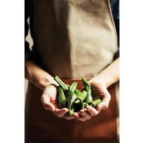 marron VINGA Delantal Asado