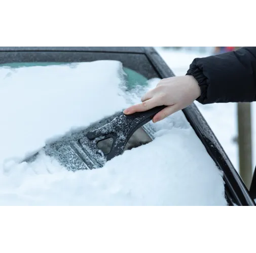 negro Rascador de hielo Polard 3 en 1 de plástico reciclado RCS