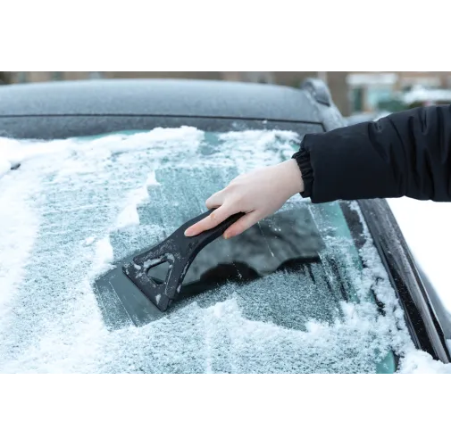 negro Rascador de hielo Polard 3 en 1 de plástico reciclado RCS