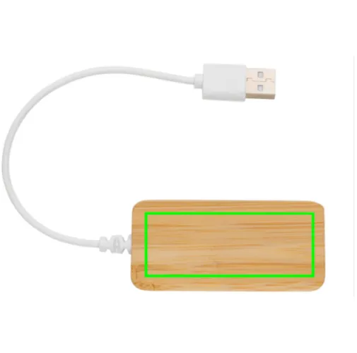 Hub de bambú con tipo C