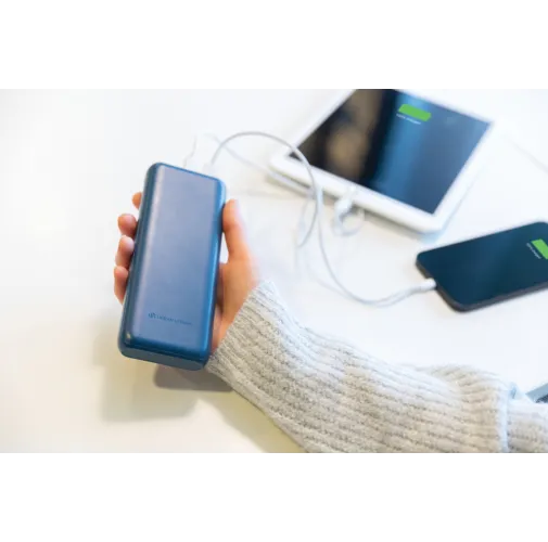 Powerbank Pasadena Urban Vitamin 20.000 mAh  18W PD