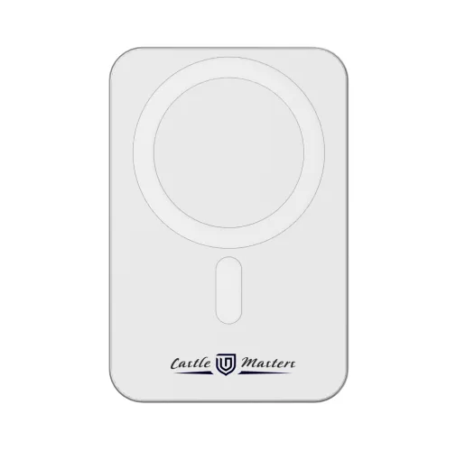 plata Powerbank Richmond RCS Urban Vitamin 5.000 mAh