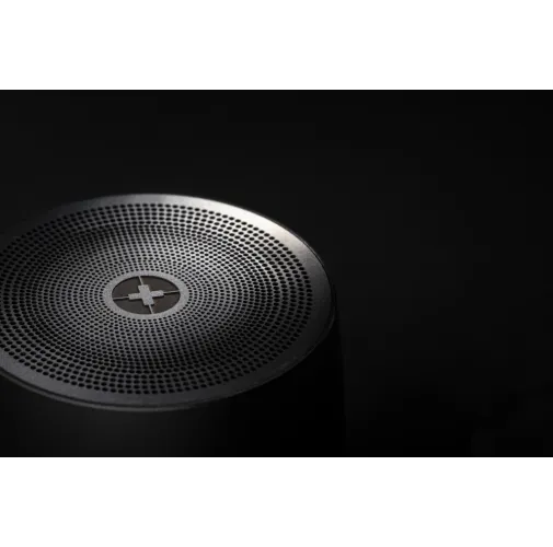 Altavoz de graves inalámbrico Swiss Peak 5W