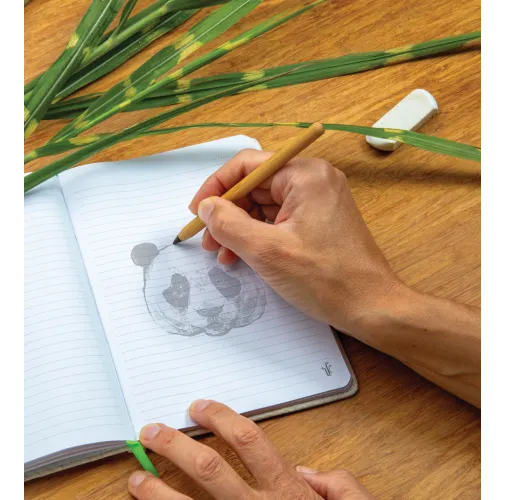 Lápiz infinity sin árboles