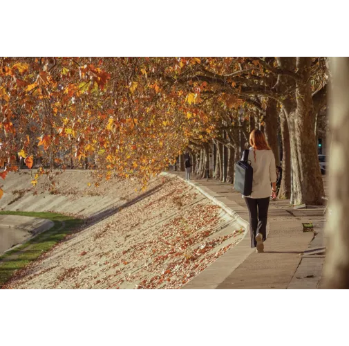 Mochila y maletín antirrobo Bobby Bizz 2.0