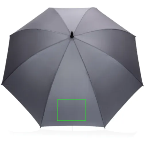 antracita Paraguas 30\