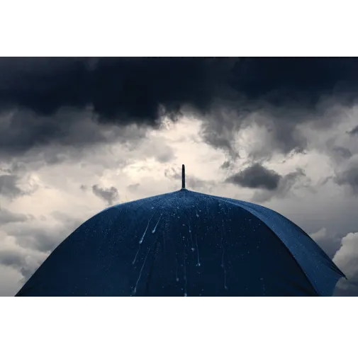 azul marino Paraguas 30\